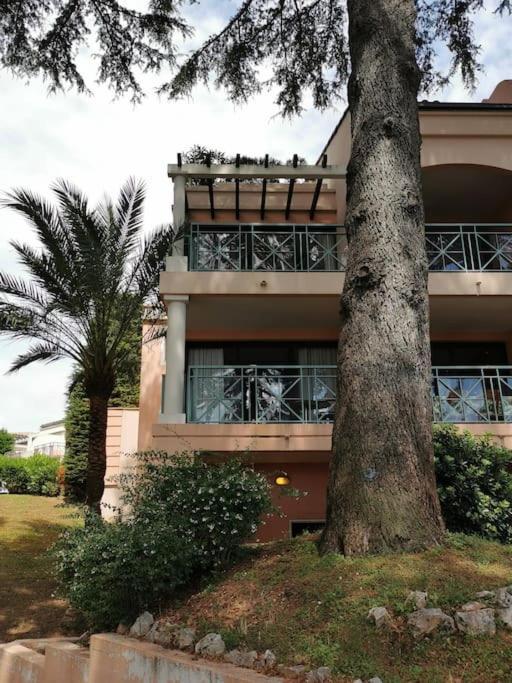 Appartement Renove, Piscine A Debordement, Vue Mer Cannes Ngoại thất bức ảnh